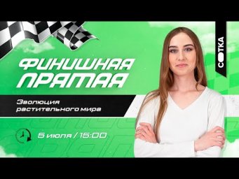 Эволюция растительного мира | ЕГЭ БИОЛОГИЯ 2020 | Онлайн-школа СОТКА