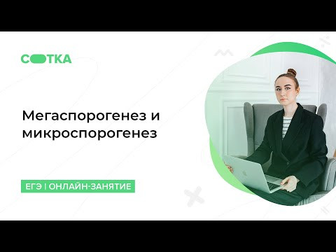 Мегаспорогенез и микроспорогенез | ЕГЭ БИОЛОГИЯ 2020 | Онлайн-школа СОТКА
