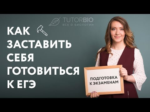 Как заставить себя готовиться к ЕГЭ
