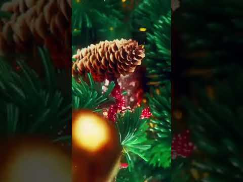 С НАСТУПАЮЩИМ НОВЫМ ГОДОМ!!!#Shorts С НАСТУПАЮЩИМ НОВЫМ ГОДОМ!!!#Shorts