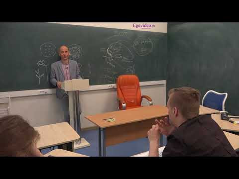 Систематизация знаний перед ЕГЭ-2019. Часть 20