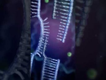 Репарация ДНК- исправление ошибок, ремонт молекулы #biology #днк #биология #егэ биология
