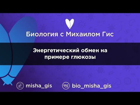 Энергетический обмен на примере глюкозы | ЕГЭ ОГЭ Биология с Михаилом Гис Энергетический обмен на примере глюкозы | ЕГЭ ОГЭ Биология с Михаилом Гис