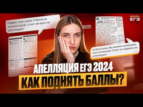 КАК ПОДНЯТЬ БАЛЛЫ НА АПЕЛЛЯЦИИ ЕГЭ 2024? / ПОДАВАТЬ ИЛИ НЕТ? КАК АРГУМЕНТИРОВАТЬ КРИТЕРИИ