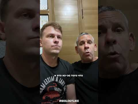 Что такое изотопы? Что такое изотопы?