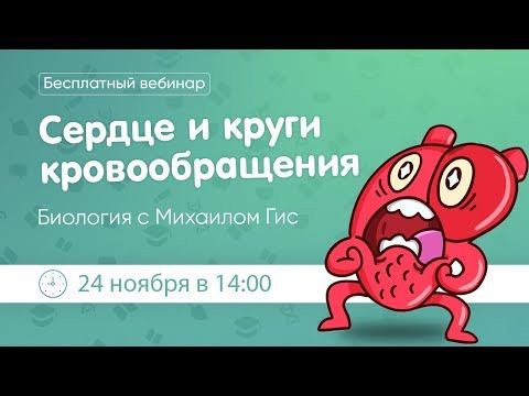 Сердце и круги кровообращения ОГЭ|ЕГЭ БИОЛОГИЯ