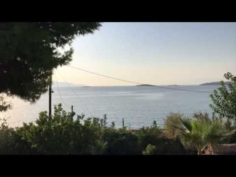 Утро на берегу Ионического моря, Греция | Morning on the Ionian Sea (Galaxidi, Greece) #SunriseEarth Утро на берегу Ионического моря, Греция | Morning on the Ionian Sea (Galaxidi, Greece) #SunriseEarth