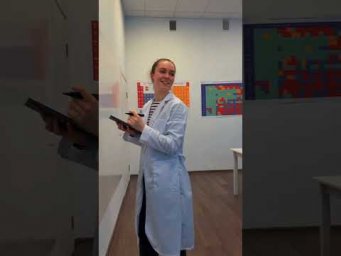 Эстетика качественного анализа 