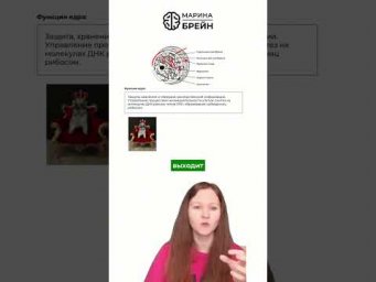 ДНК &mdash; ПАСПОРТ КЛЕТКИ тгк: Марина Брейн #егэ2027 #егэбиология