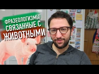 Испанские Фразеологизмы связанные с животными