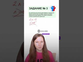 Как определить количество хромосом в задании №3? #биология #биологияегэ #егэ #егэ2026 #химбио