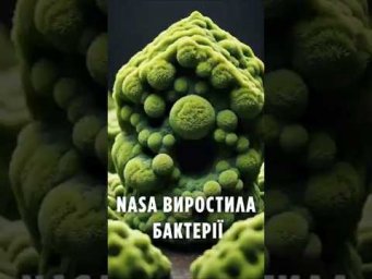 NASA ВИРОСТИЛА бактерії екстремали, які не бояться радіації!