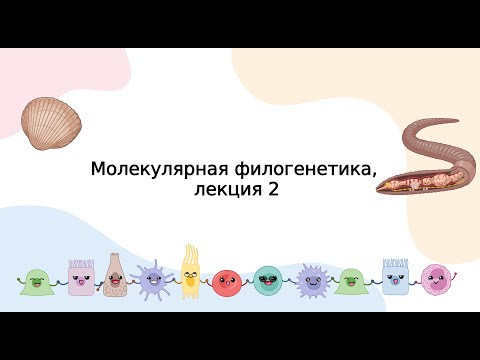 Молекулярная филогенетика, лекция 2 зоологии беспозвоночных