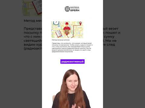 МОЛЕКУЛА — КУРЬЕР С МАЯЧКОМ #биологияегэ #егэ2027 МОЛЕКУЛА — КУРЬЕР С МАЯЧКОМ #биологияегэ #егэ2027