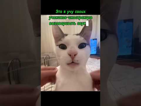 Звук [р] #рки