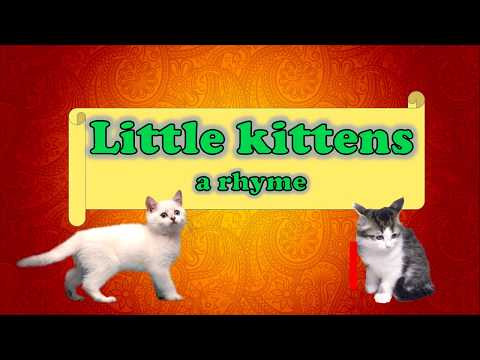Маленькие котята. Стишок для детей на английском.