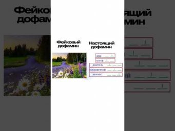 НАСТОЯЩИЙ ДОФАМИН #литератураегэ #сочинение #сотка #егэлитература