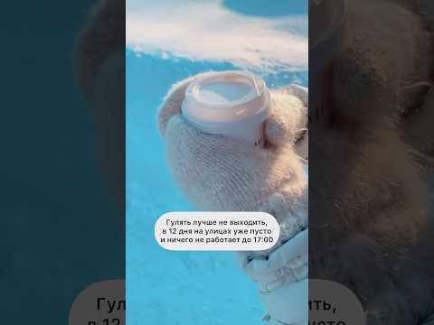 А что бы выбрали вы? Долгие месяцы зимы или изнуряющую жару?