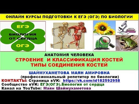 СТРОЕНИЕ, КЛАССИФИКАЦИЯИ ТИПЫ СОЕДИНЕНИЯ КОСТЕЙ СТРОЕНИЕ, КЛАССИФИКАЦИЯИ ТИПЫ СОЕДИНЕНИЯ КОСТЕЙ