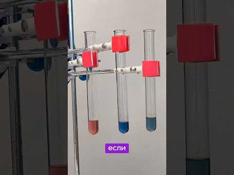 Как работает лакмус?#химия #опыт #эксперимент #индикатор #лакмус