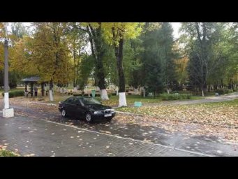 Катаемся в парке