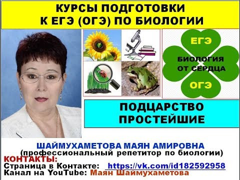 ХАРАКТЕРИСТИКА ПОДЦАРСТВА ПРОСТЕЙШИЕ