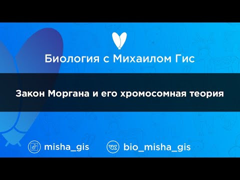 Закон Моргана и его хромосомная теория | ЕГЭ ОГЭ Биология с Михаилом Гис Закон Моргана и его хромосомная теория | ЕГЭ ОГЭ Биология с Михаилом Гис