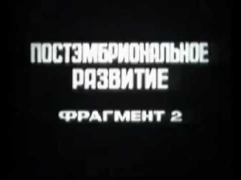 Постэмбриональное развитие. Онтогенез Постэмбриональное развитие. Онтогенез