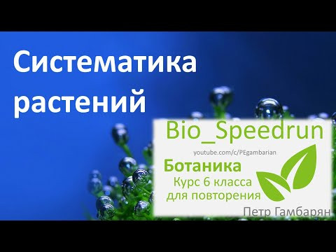 15. Систематика (Speedrun ботаника 6 класс, ЕГЭ, ОГЭ 2021) 15. Систематика (Speedrun ботаника 6 класс, ЕГЭ, ОГЭ 2021)
