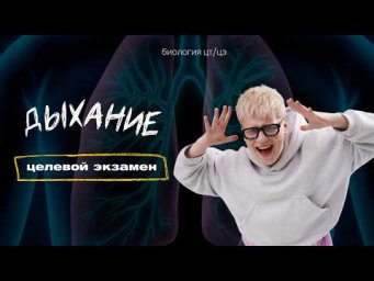ДЫХАНИЕ И ГАЗООБМЕН | Целевой экзамен