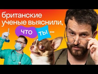 Врут ли британские ученые | Игра &laquo;Правда или Ложь&raquo; | Джордан VS команда Skyeng 