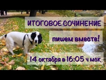 Итоговое сочинение: пишем вместе