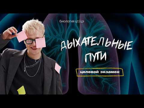 ДЫХАТЕЛЬНЫЕ ПУТИ. СТРОЕНИЕ ЛЕГКИХ | Целевой экзамен ДЫХАТЕЛЬНЫЕ ПУТИ. СТРОЕНИЕ ЛЕГКИХ | Целевой экзамен