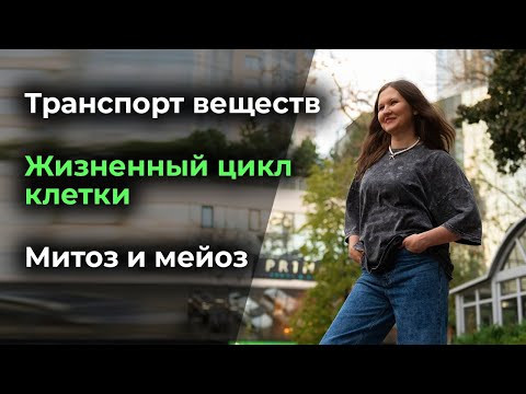 8. Транспорт веществ. Жизненный цикл клетки. Митоз и мейоз.