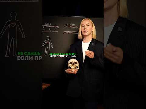 Собрала все полезные материалы в одном месте , ссылка в шапке профиля ❤️ #биология #сотка #егэ Собрала все полезные материалы в одном месте , ссылка в шапке профиля ❤️ #биология #сотка #егэ
