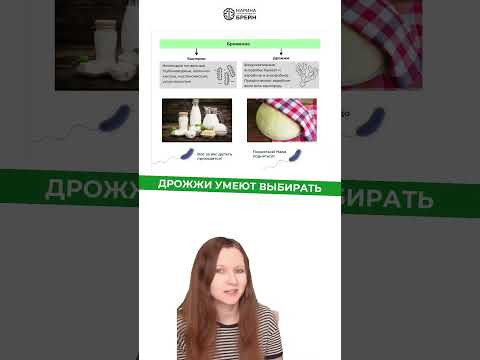 тгк: Марина Брейн #егэ2027 #егэбиология