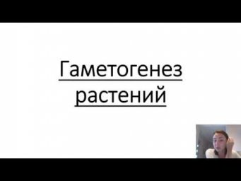 Развитие половых клеток у растений