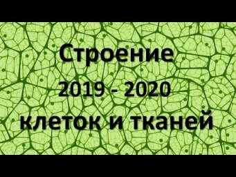 4. Клетки и Ткани  (5 класс) - введение в Биологию