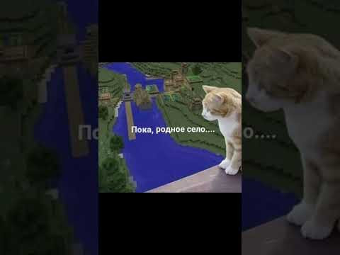 Восстановили кадры | #shorts #егэ #егэ2025 #школа #история #жиза Восстановили кадры | #shorts #егэ #егэ2025 #школа #история #жиза