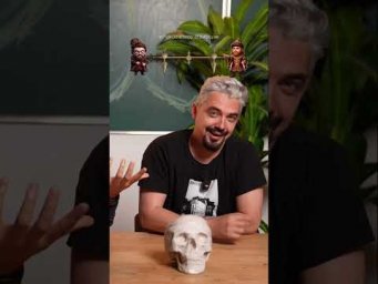 Разбираемся с историографическими позициями