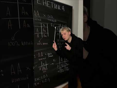 Типы взаимодействия аллельных генов | Биология с Яном