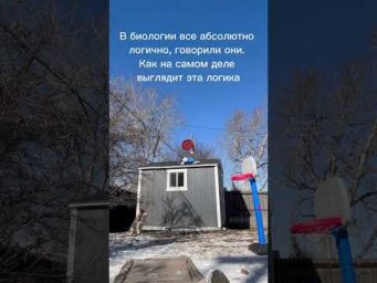 Полный курс подготовки к ЕГЭ по биологии в ссылках канала)) Скидка по промокоду БИОСИНТЕЗ