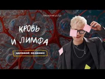 ВНУТРЕННЯЯ СРЕДА. КРОВЬ. ЛИМФА | Целевой экзамен