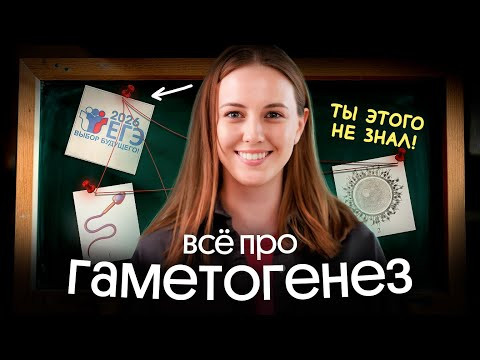 КАК УСТРОЕН ГАМЕТОГЕНЕЗ? | ПОДГОТОВКА К ЕГЭ ПО БИОЛОГИИ