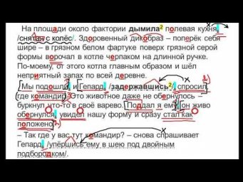 7  класс РЯ. 3-я неделя. Разбор ДЗ