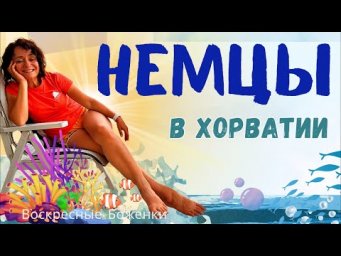 Немцы в Хорватии 