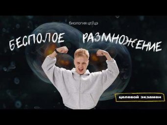 БЕСПОЛОЕ РАЗМНОЖЕНИЕ | Целевой экзамен