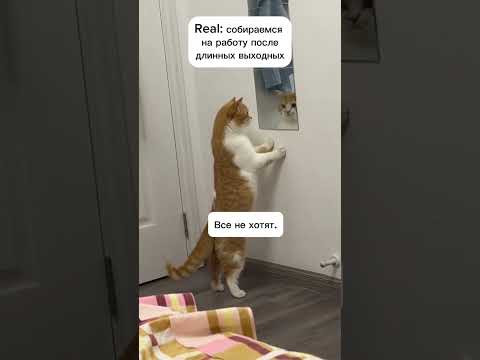 Вы как там, друзья?