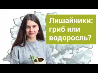 Лишайники: гриб или водоросль?