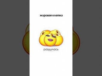 ЧАСТЬ 3. смотрим на внутренний мир нашего организма 